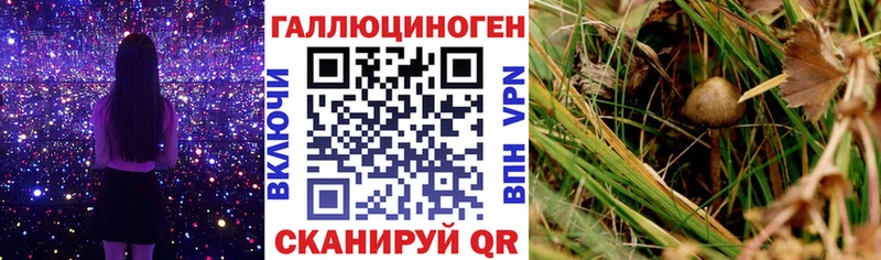 что такое наркотик  Верхний Уфалей  Псилоцибиновые грибы мицелий 